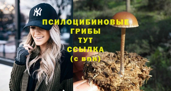 дурь Белоозёрский
