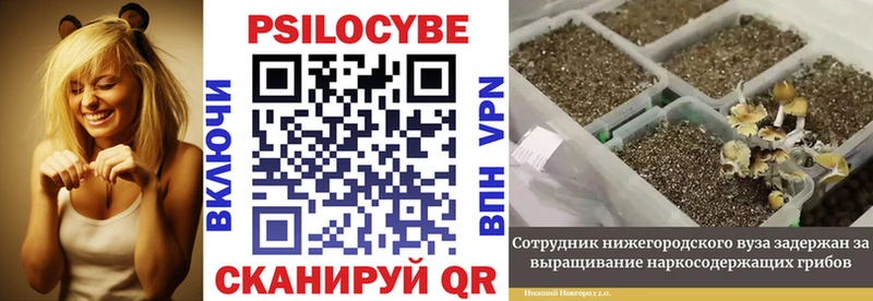 Галлюциногенные грибы Magic Shrooms  OMG как войти  Кувандык 